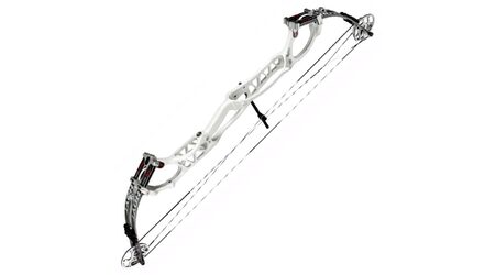 купите Лук блочный Hoyt Pro Comp Elite XL в Барнауле
