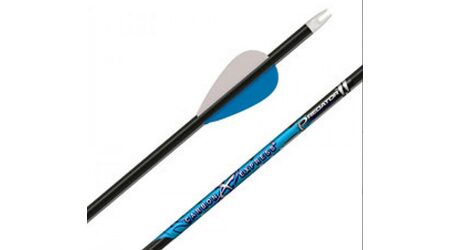 купите Стрела для лука Carbon Express Maxima Blue Streak 350 Blazer Vanes (6 штук) в Барнауле