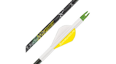 купите Карбоновые стрелы для лука Carbon Express Mutiny 250 и 350 в Барнауле